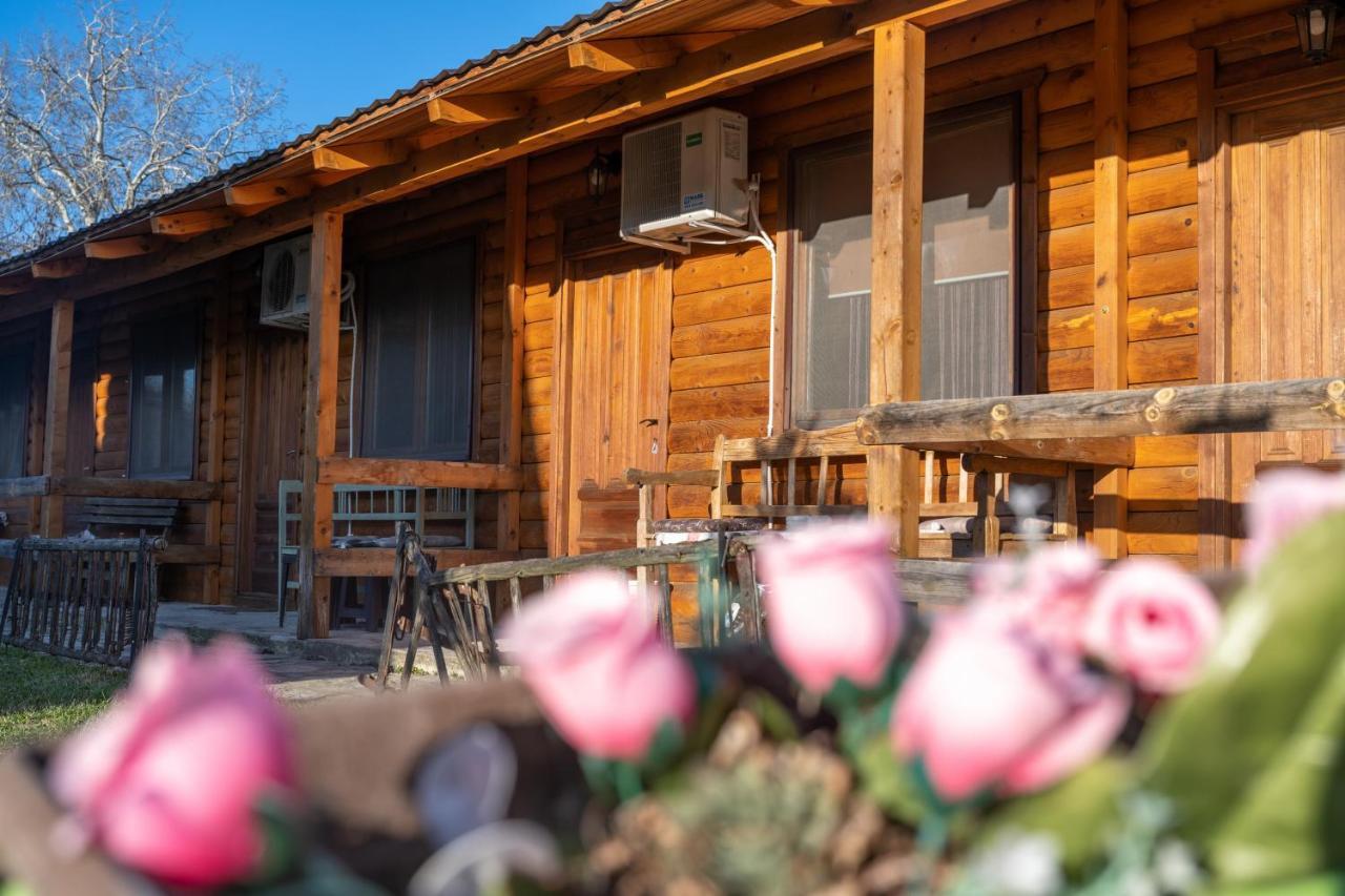 Lolini Bungalovi Novi Sad Exterior foto